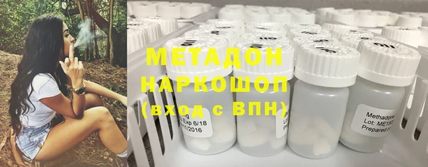 индика Бородино