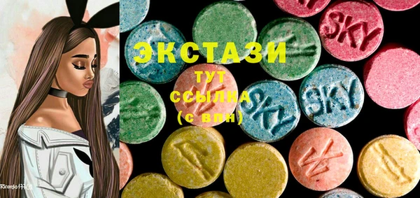 индика Бородино
