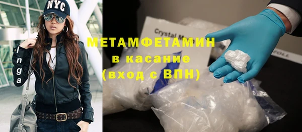 индика Бородино