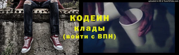 индика Бородино