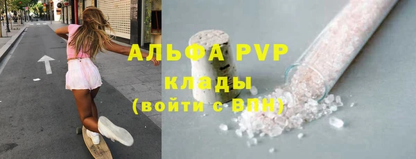 индика Бородино