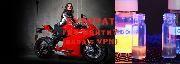 индика Бородино