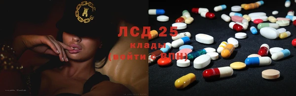 индика Бородино