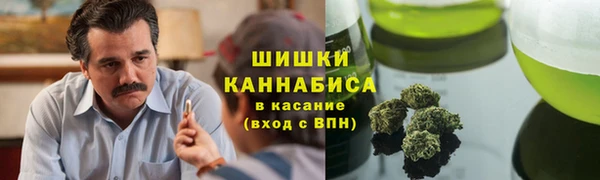 индика Бородино