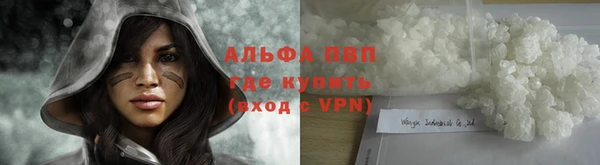 индика Бородино