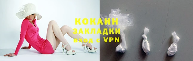 индика Бородино