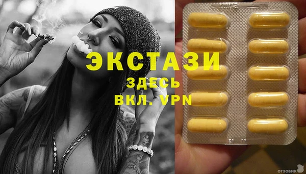 индика Бородино