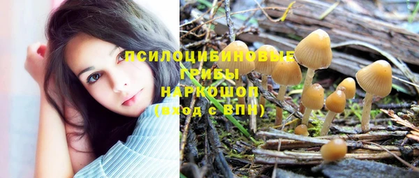 индика Бородино