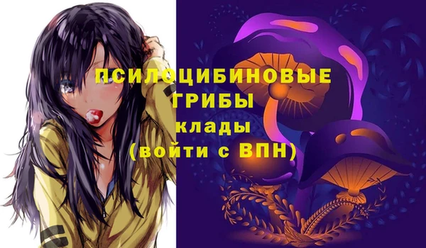 прущая мука Бронницы