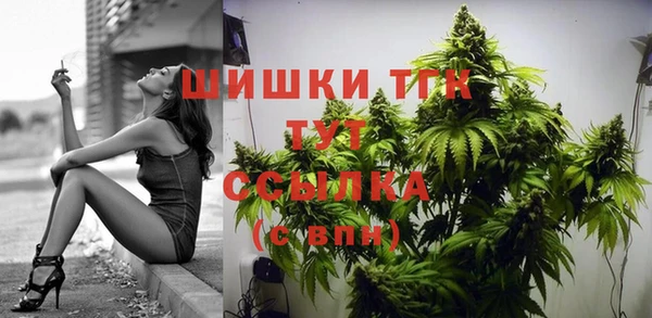 индика Бородино
