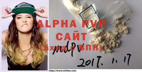 индика Бородино