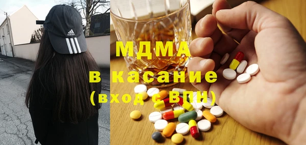 индика Бородино