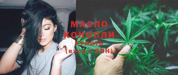 индика Бородино