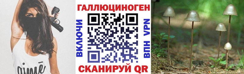 Галлюциногенные грибы Magic Shrooms  Купить где  Нижняя Салда 
